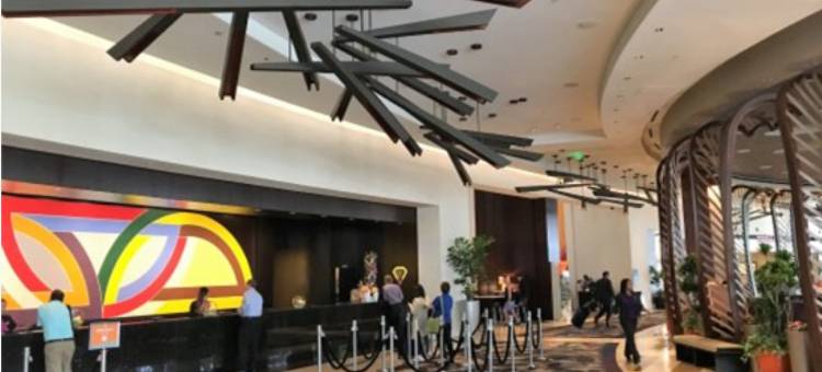 维达拉喷气奢华酒店(Jet Luxury at the Vdara)图片