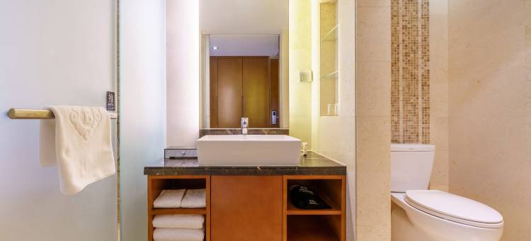 沈阳龙之梦瑞峰国际酒店图片