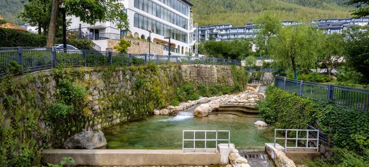 安吉云上草原·伴山美宿(熊猫部落探险乐园店)图片