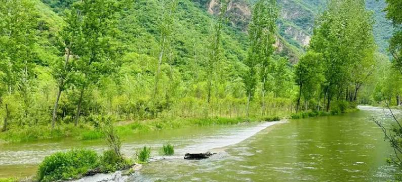 百里山水画廊胡家大院民宿图片