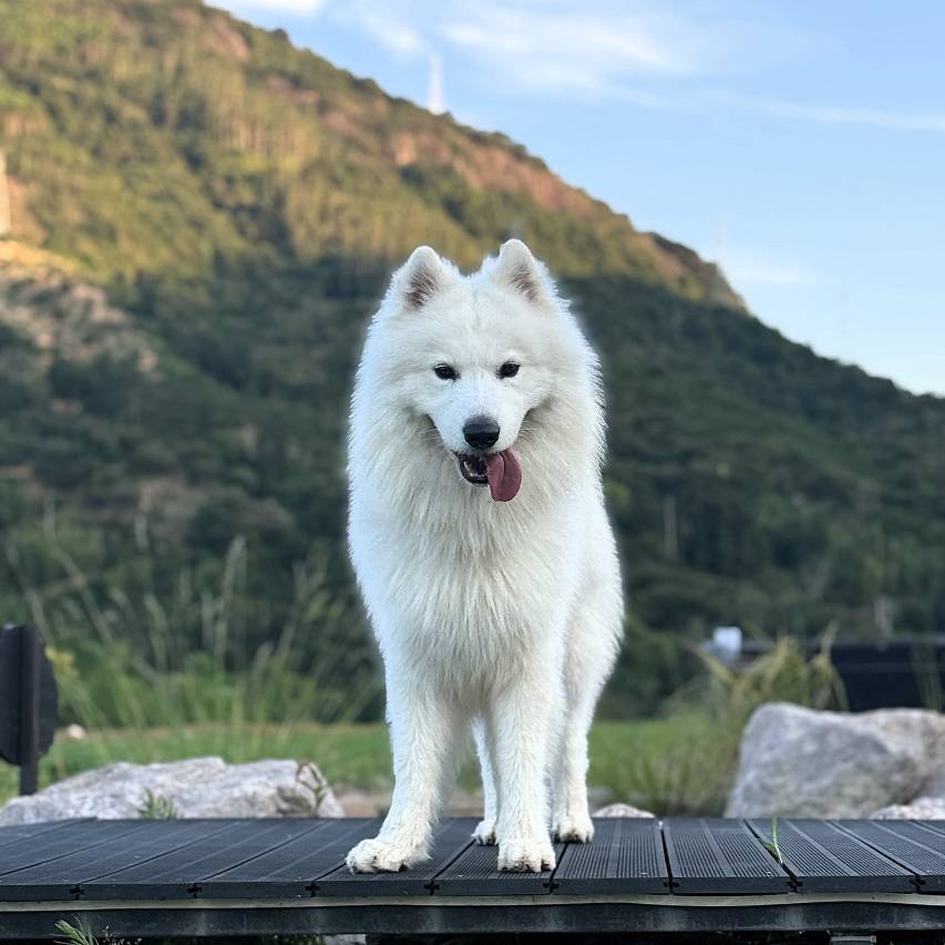 携程度假农庄(福建永泰赤锡店)图片