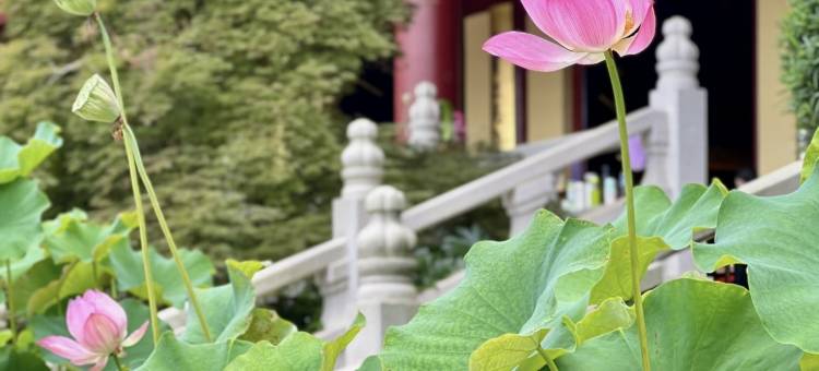 九江·庐山丨Scenic picturesque壹号花园美宿(东林大佛店)图片