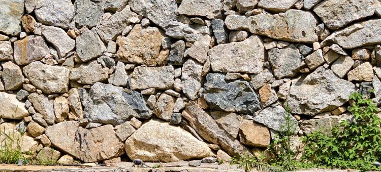 陌也·云上书房民宿图片