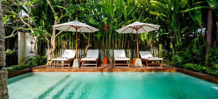 Hijau Villa by EVDEkimi – 迷人的兩房度假別墅，附泳池(Hijau Villa by EVDEkimi – Charming 2BR escape w/pool, outdoor lounge, lush garden)图片