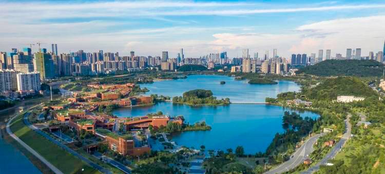 长沙梅溪湖豪生酒店(梅溪湖西地铁站店)图片