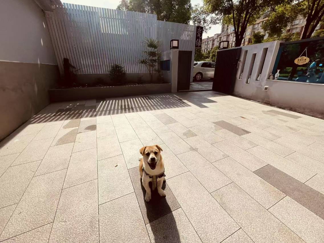 瓷缘泮·Ceramic庭院度假民宿(陶溪川创意广场店)图片