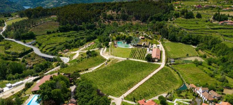 拉万蒂拉杜罗自然与健康(Lavandeira Douro Nature & Wellness)图片