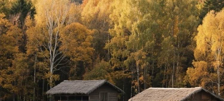 漫庭酒店(兴安国家森林公园店)图片