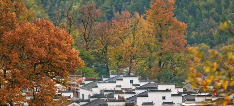 婺源石城黑皮小院(红枫叶景区店)图片