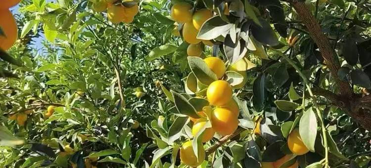 宜朵·美宿酒店(融安长安广场店)图片