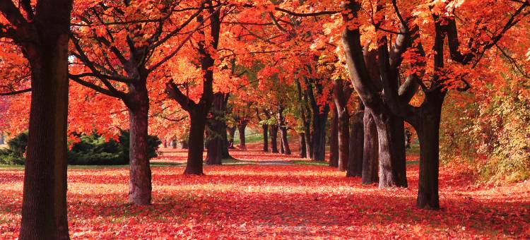 镇江·宜程｜Modern·CinemaDesigner酒店(大市口苏宁广场店)图片