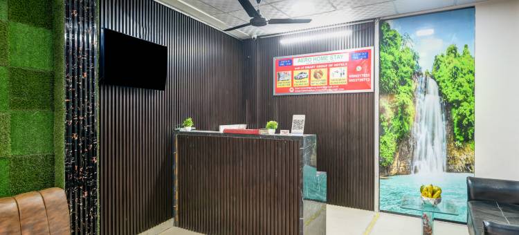 Hotel Aero Homestay near IGI Airport图片