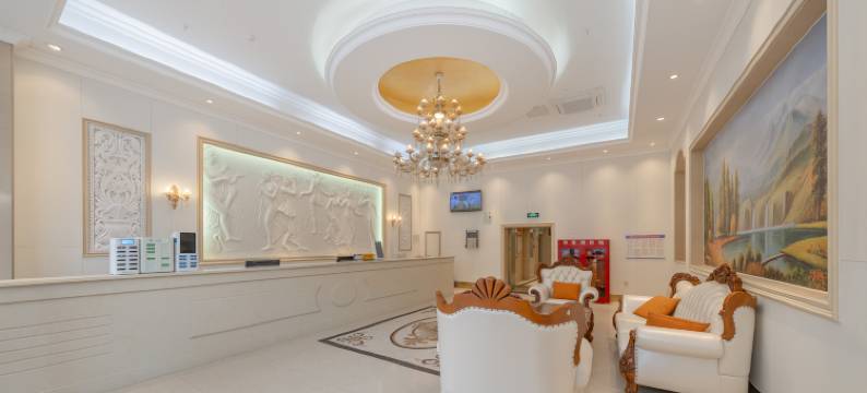 邵东维多利臻品酒店图片