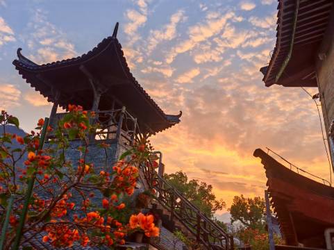 黄姚大公馆(黄姚古镇景区龙爪榕店)图片