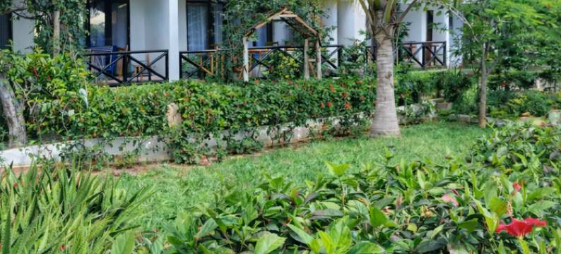 马贾尼微风旅馆(Majani Breeze)图片