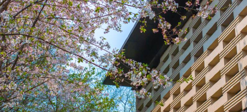 湖州南浔花园名都大酒店(南浔古镇店)图片