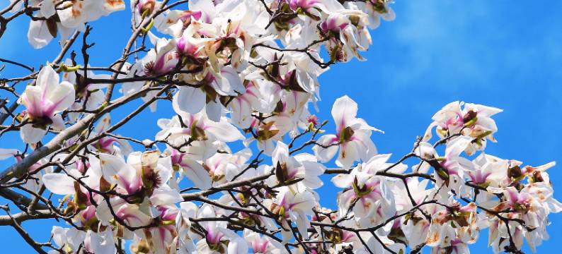 花筑·其间·咖啡民宿 (西湖区灵隐寺店)图片