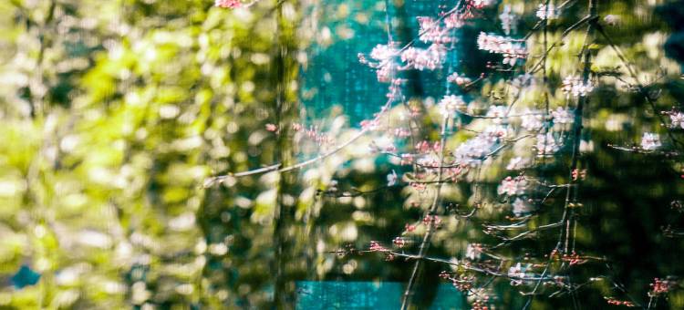 黄山昱城皇冠假日酒店图片