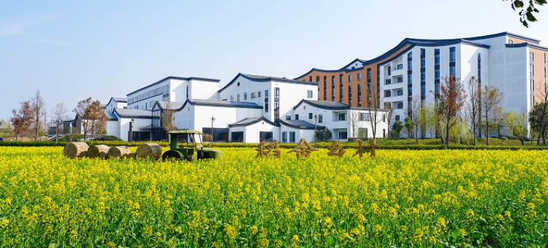 乌镇乌村稻舍乡村酒店图片