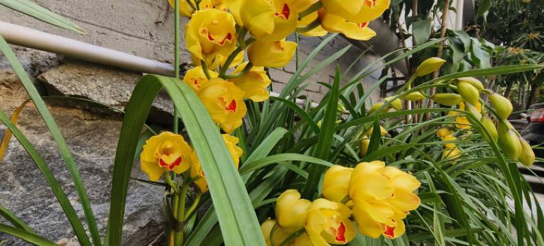 如家·云上四季尚品酒店(瑞丽财富广场旅游步行街店)图片