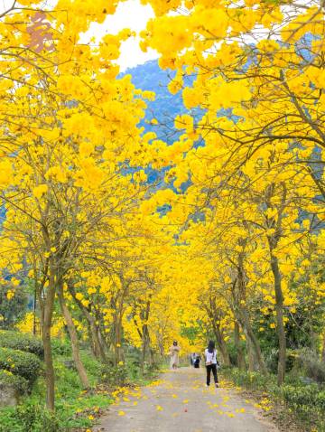云浮新兴翔顺象窝酒店图片