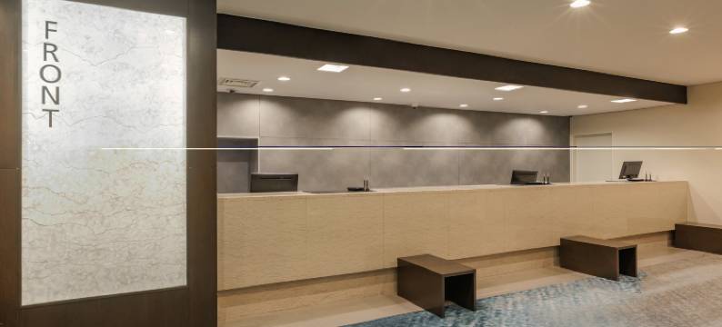 ART新泻站前酒店(Art Hotel Niigata Station)图片