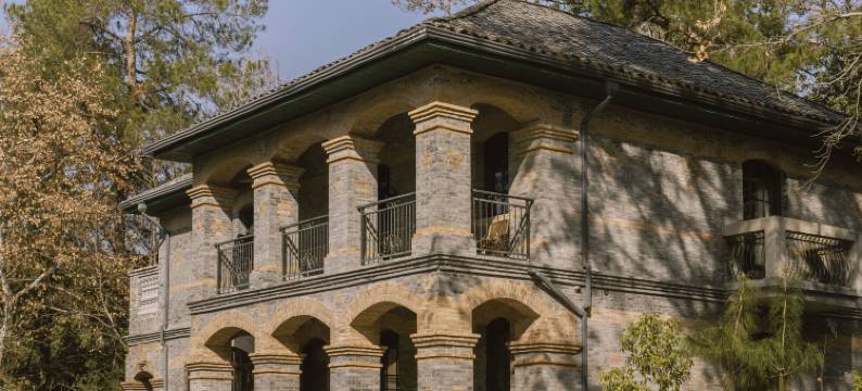 景德镇行山世外·森林里图片