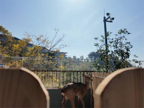清水岩温泉度假村图片