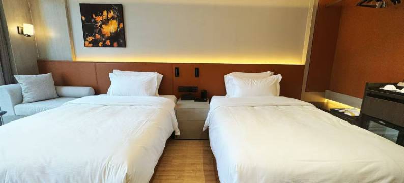 美豪丽致酒店(阜南天筑广场店)图片