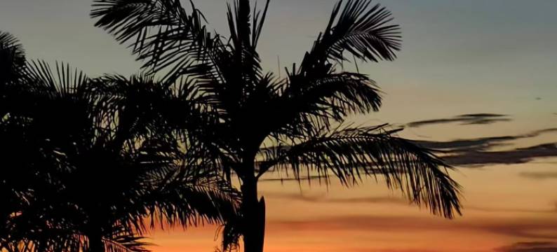 夏约民宿(桔钓沙店)图片