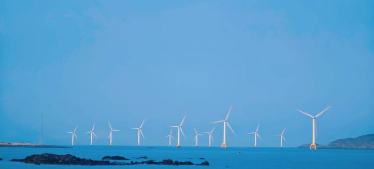 岚夏·风车海景·全幅画卷设计师民宿(君山村观海亭店)图片