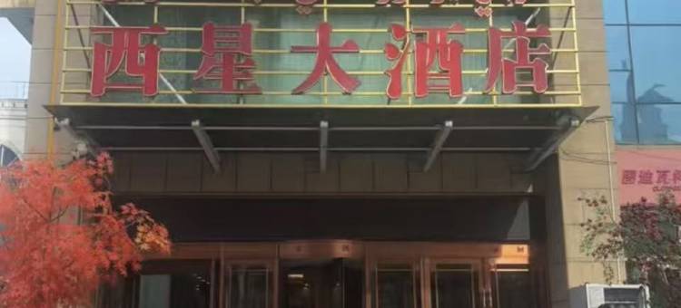 乌鲁木齐西星大酒店(国际大巴扎二道桥地铁站店)图片