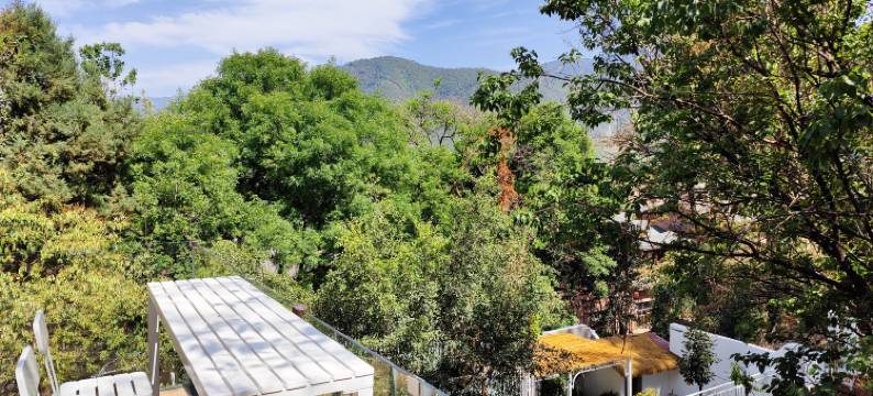 拾间山院•邛海慢生活空间|花庭画境美宿(西昌大石板古村店)图片