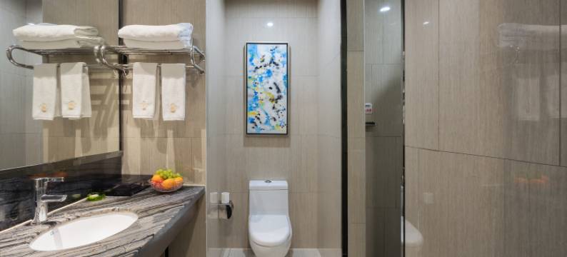 莱茵茉莉假日酒店(浏阳市政府店)图片