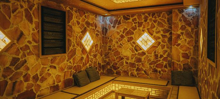 碧水湾温泉宾馆(成安凤凰西路店)图片