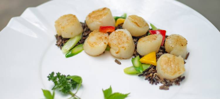 郴州枝青乡村度假酒店图片