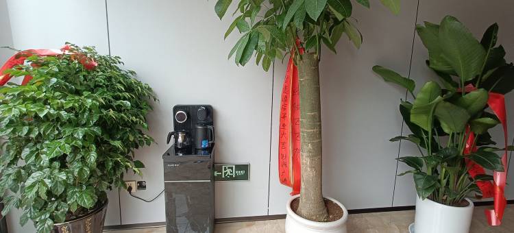 舒克智选酒店图片