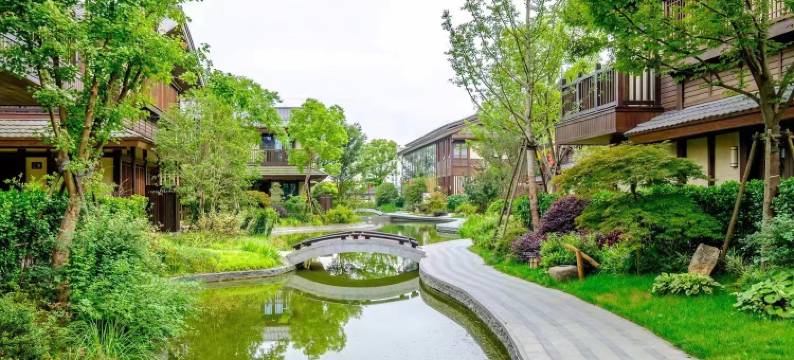 乌镇院舍民宿图片