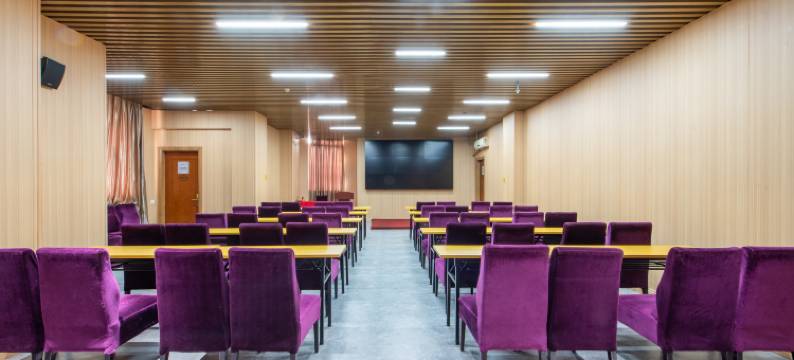 兴悦酒店(广州番禺长隆高铁南站店)图片