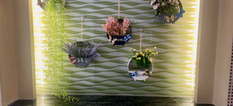 海蓝青年旅舍(福田站店)图片