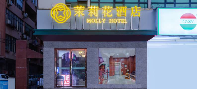 茉莉花酒店(人民广场文山路步行街店)图片