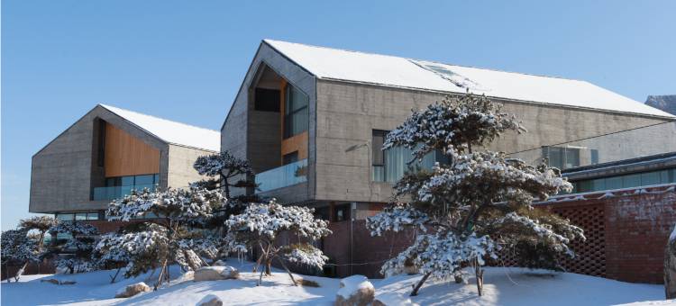 蔚县南山小院民宿图片