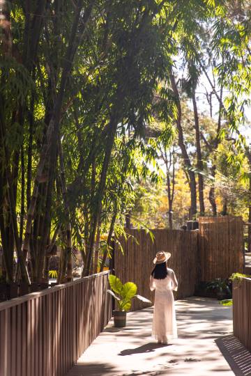 腾冲杜鹃王森林温泉酒店图片