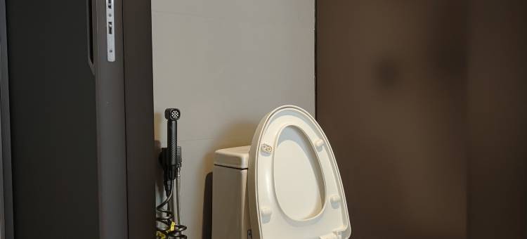 如家华驿精选酒店(阜城县政府店)图片