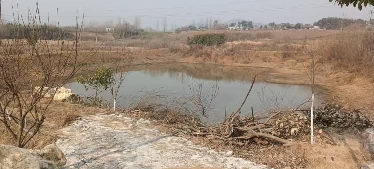 战友民宿(古隆中风景区湖北文理学院店)图片