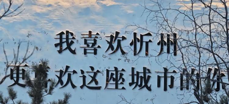 悦颜小院民宿(忻州古城店)图片