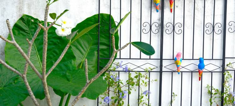 芭东海滩森屿精品民宿(Forest Island Hotel)图片