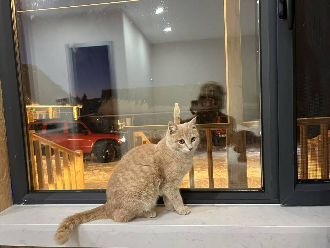 白哈巴沁尘雅苑图片