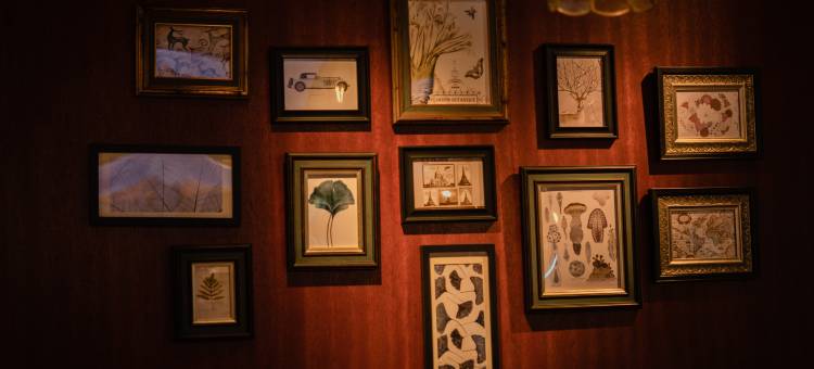 DOMAINE·德尔曼酒店(包头青山区万达广场店)图片