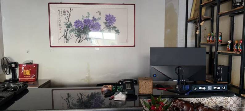 白洋淀安之若宿图片